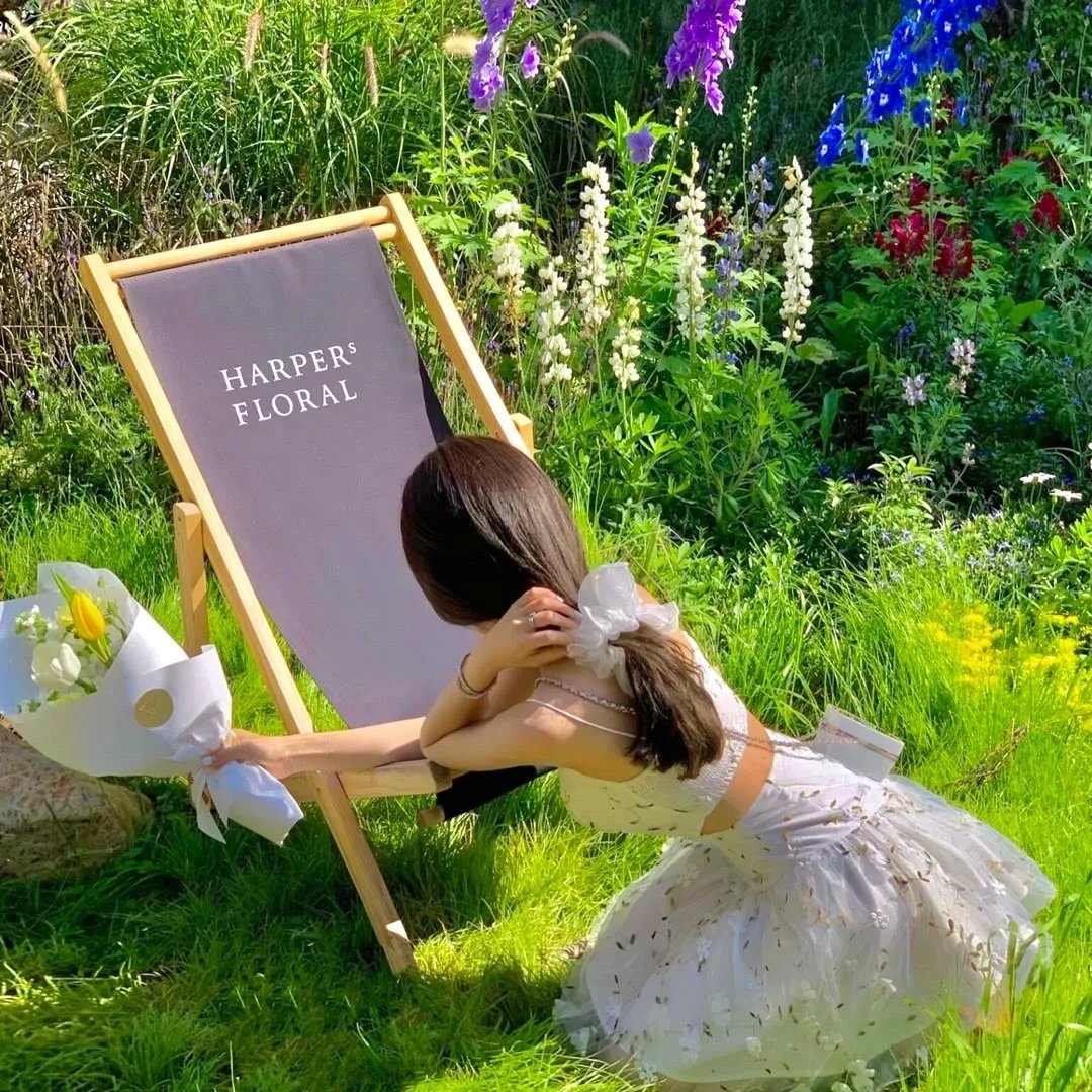 绝症后苏小姐发疯了