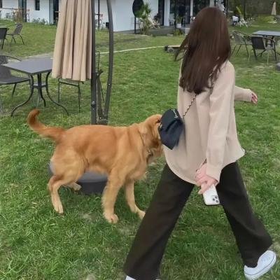 塬上春来早